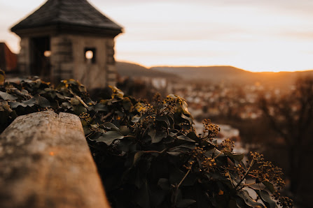 Golden Soul Photography