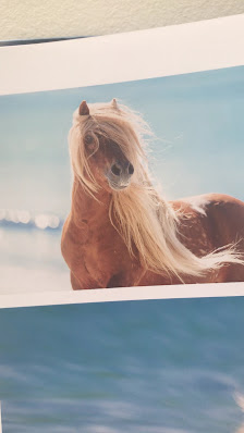 Christiane Slawik Photography