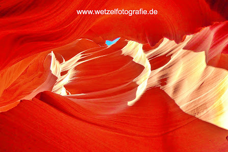 Andreas Wetzel Fotografie