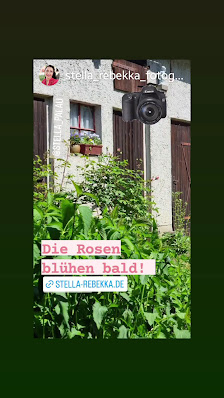 Stella Rebekka Fotografie