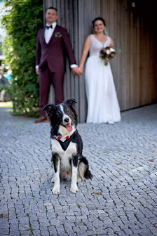 Franke Fotografie Hochzeitsfotos & Familienfotograf