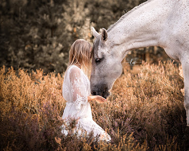 Laura Wünsche Fotografie