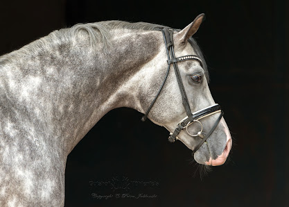 Oliver Jablonski Fotografie