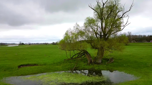 Bruchlichtwerke by Niclas Baronsky