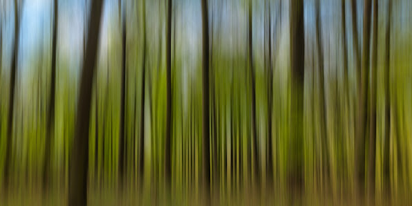 Donato Cuoio | CMP - Creativity Meets Photography