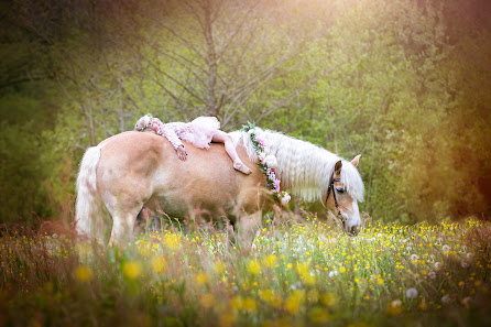 Fotografie Eva-Maria Schmidt