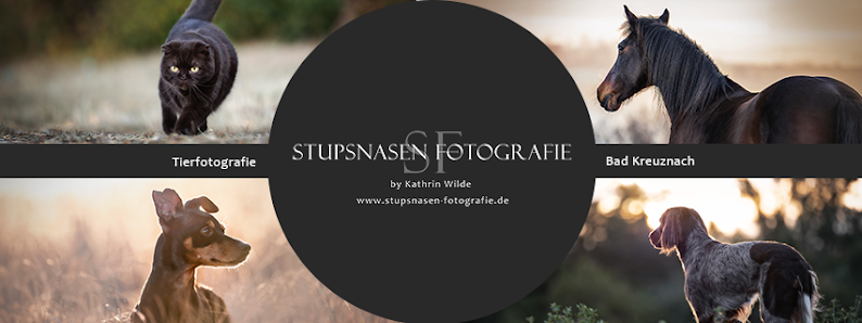 Stupsnasen Fotografie by Kathrin Wilde