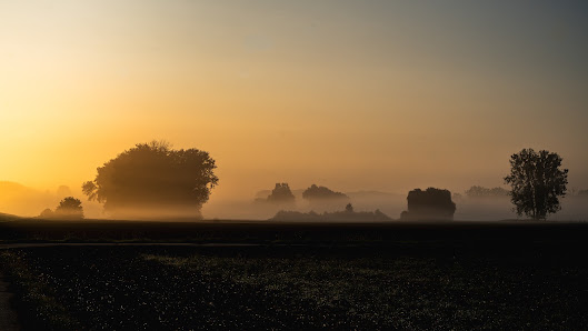 Kehrbild Fotografie