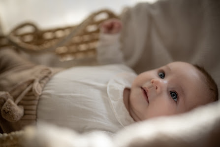 Vanessa Narzisi Photography