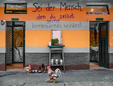 markis welt