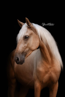 Yvonne Michaelis Fotografie