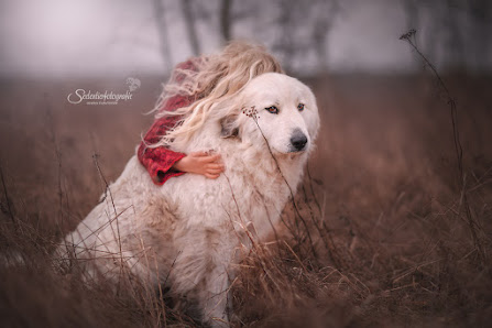 Seelentierfotografie