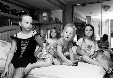 Petra Arnold Fotografie