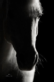 Coralie Duda Fotografie