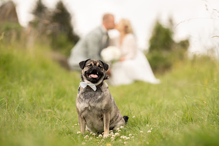 Sabrina Hopstein Photography