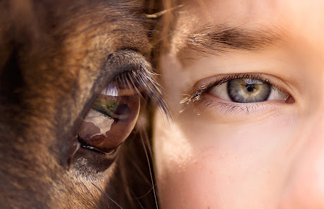 Sabrina Hopstein Photography
