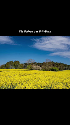 Jens Rasehorn Fotografie - Usedomer Ansichten