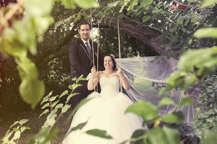 Steffi Arndt - Allround Photography