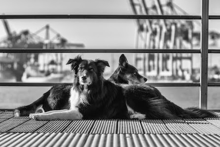 Thorsten Ophey Fotografie
