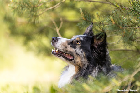 Thorsten Ophey Fotografie