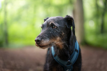 Tierfotografie Alex Krüger
