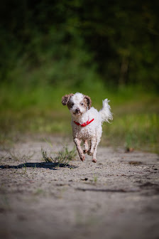 FeuerQuell Fotografie
