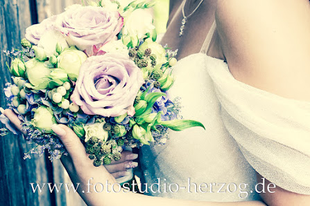 Fotostudio Herzog