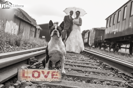 Dirk Tubbesing Photographie & Art Design