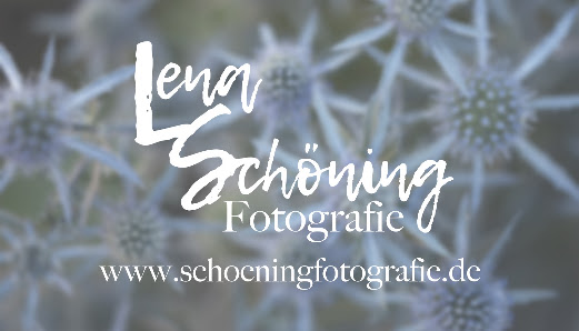 Lena Schöning Fotografie