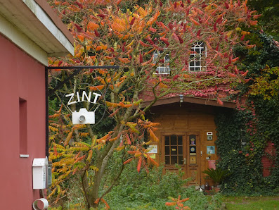 Günter Zint Fotograf PANFOTO Bildarchiv - Pressefotos