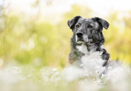 Seelenspiegel Fotografie
