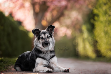 Seelenspiegel Fotografie