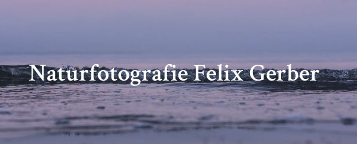 Naturfotografie Felix Gerber