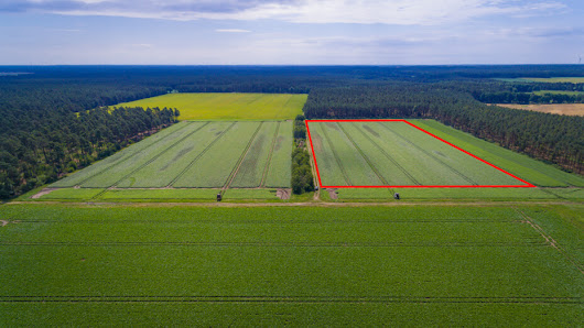 Grüneflügel Luftaufnahmen