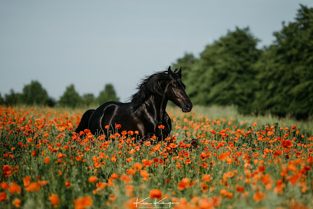 Kim Kärger Photography