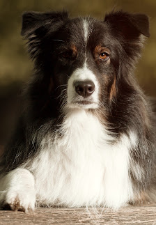 rastla-fotografie - Andreas Meyer