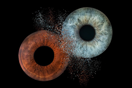 OCULUS MÜNCHEN - Professionelle Iris Fotografie