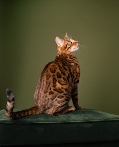 Naomi Halbrügge Photography