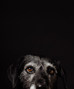 Naomi Halbrügge Photography