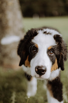 Mearrylou.Fotografie