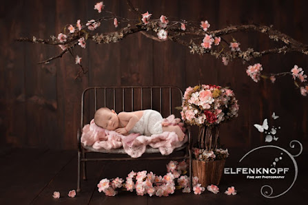 ELFENKNOPF Baby-Fotodesign