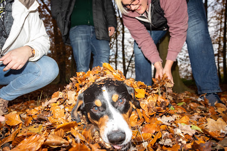 Dirk Ott · Werbefotografie · Webdesign · IT Dienstleistungen