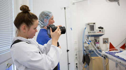 Fotograf Berlin | H2N Photography