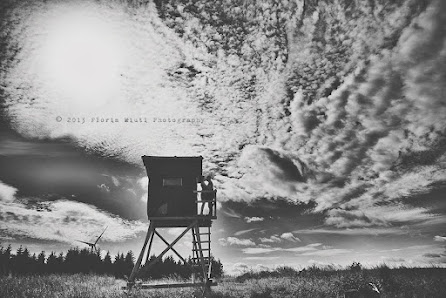 Florin Miuti Fotografie