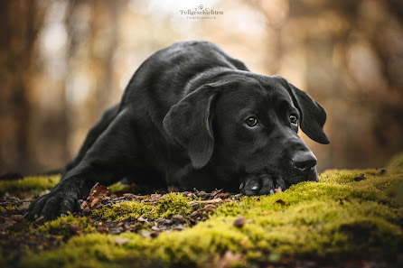 Fellgeschichten Tierfotografie
