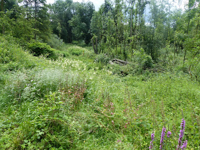 Hochzeitsfotos Mülheim an der Ruhr trau-zeuge.de