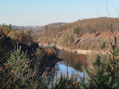 S.Paaß Photography – Fotografin in Solingen