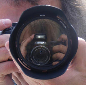 Vogler Foto Galerie