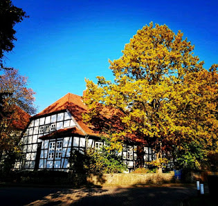 Holzkamera