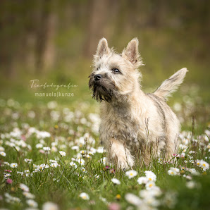 Tierfotografie Manuela Kunze